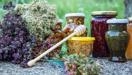 LURA_ Apiterapija_2025_2